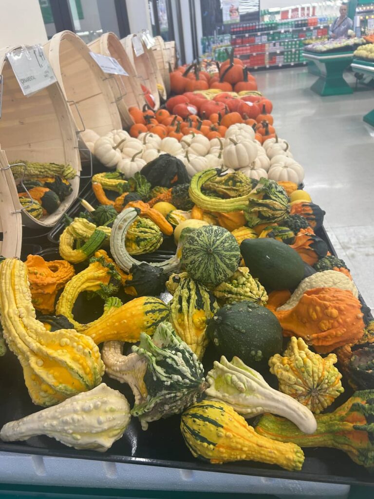 Duolingo english test image description, describe and image in duolingo test, write about the photo, describe images, 